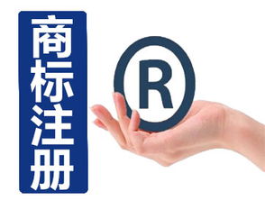 深圳市路浩知识产权代理 商标申请与保护的专业护航者